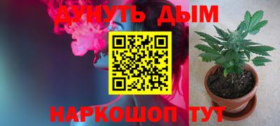 шишки Малгобек