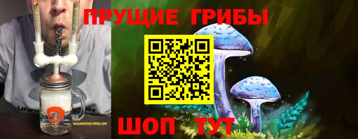 Псилоцибиновые грибы ЛСД  как найти   Псилоцибиновые грибы MAGIC MUSHROOMS  Ульяновск  Вход с VPN 